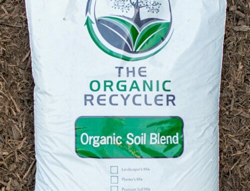 Organic Soil Blend